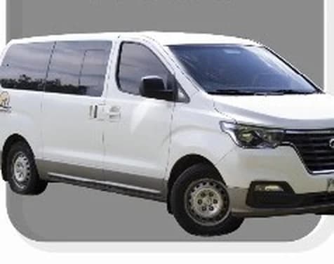Hyundai New H1